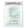 Impacco Rinforzante 100 g