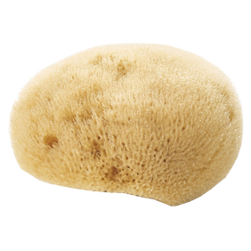 SPUGNA NATURALE VISO