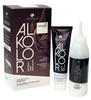 Tinta Alkolor Castano 4.0